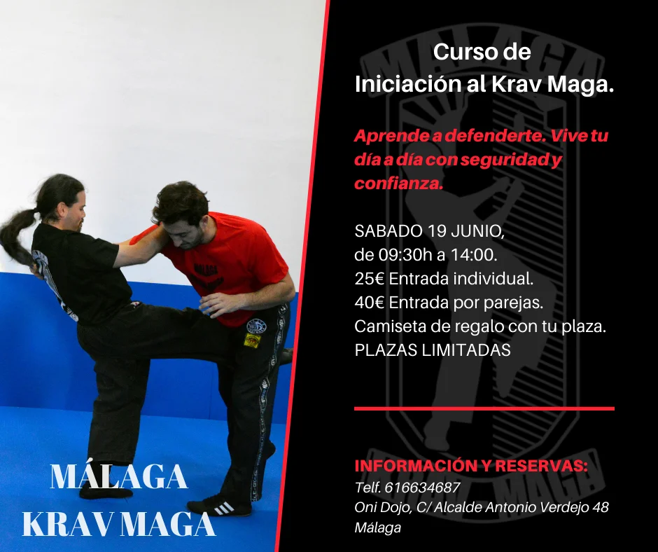Curso de Iniciación Málaga Krav Maga